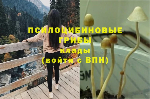 гашиш Вяземский