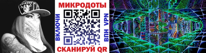 Галлюциногенные грибы Psilocybine cubensis Сольцы